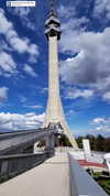 marijana_t__ Altpins Profile Picture