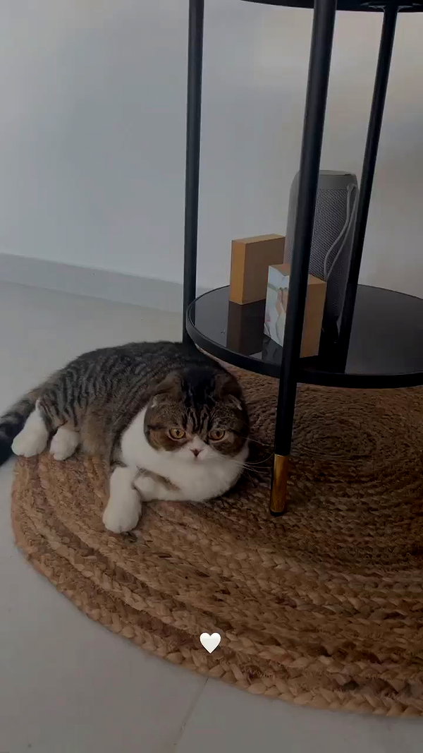 sonia_litvanchuk archive video preview