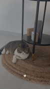 sonia_litvanchuk Altpins Profile Picture