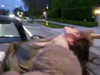 gabydayan Altpins Profile Picture