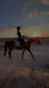 poppyymatildaa Altpins Profile Picture