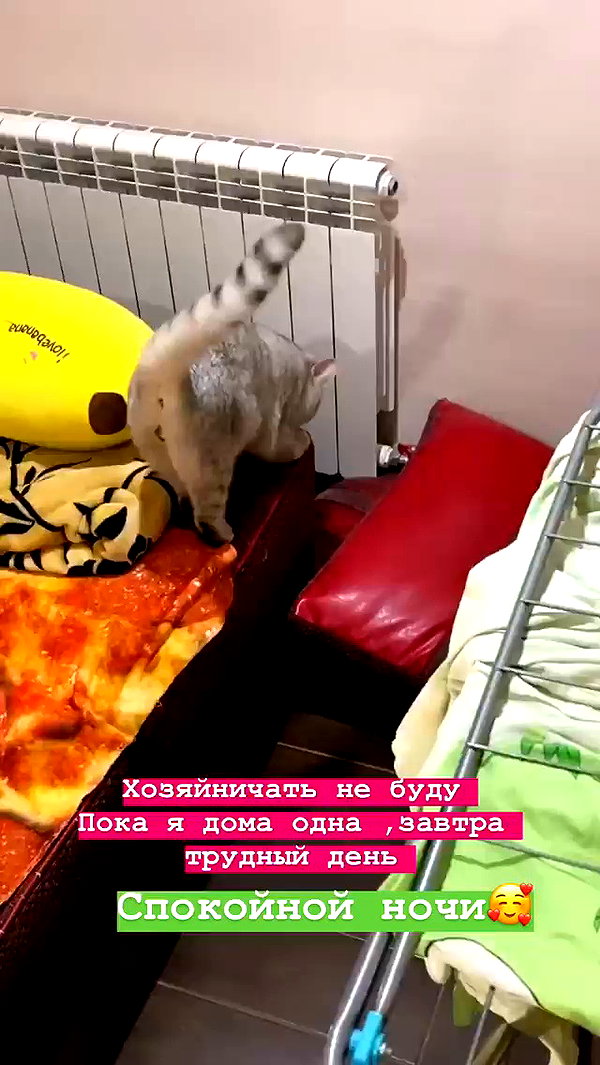 pokrov90 archive video preview