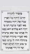 tirtza_cohen Altpins Profile Picture
