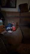 evasela__ Altpins Profile Picture