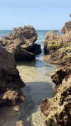 _ariel_lll Altpins Profile Picture