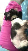 babynympho_archive Altpins Profile Picture