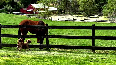 missnyxdawn missnyxdawn archive video