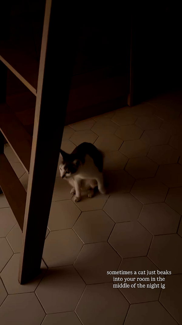 lollinski archive video preview