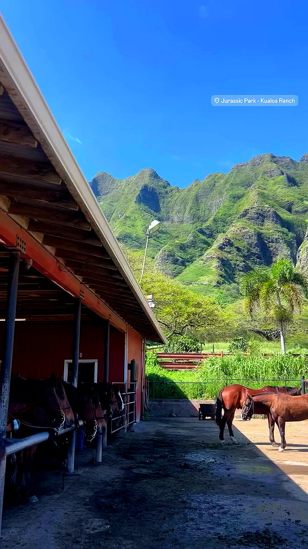 ellamwatts_ archive video preview