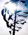 katehudson Altpins Profile Picture