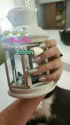 moonyyyya Altpins Profile Picture