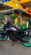 shanidahan7 Altpins Profile Picture