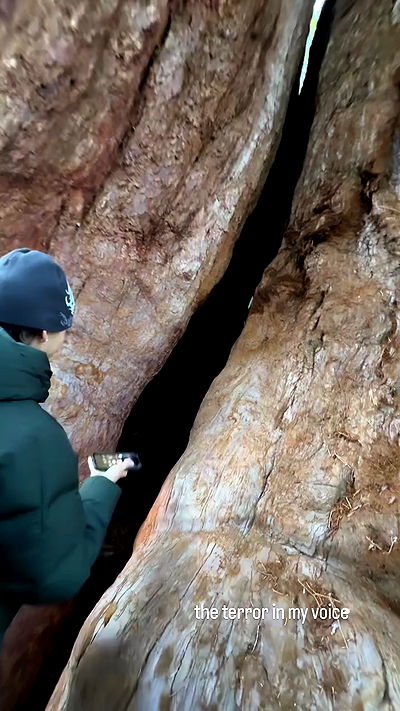 u1ltra u1ltra archive video