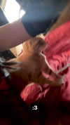 butter.on.a.poptart69 Altpins Profile Picture