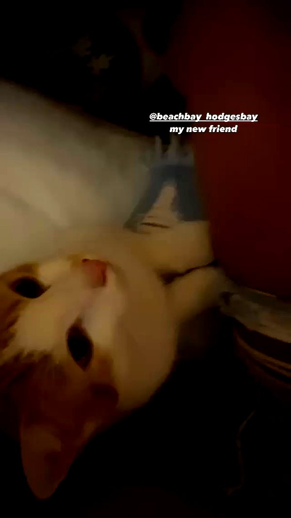 kaylasimmmons archive video preview