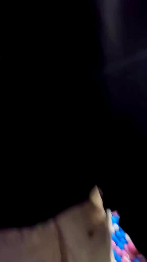 mekhrona_18 archive video preview