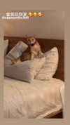 darkstar_mia Altpins Profile Picture