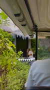 maya.keyy Altpins Profile Picture