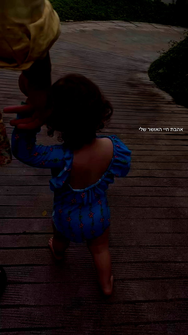 barzomer archive video preview