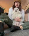 lucyhale Altpins Profile Picture