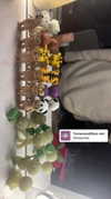 olivia.bolgerr Altpins Profile Picture