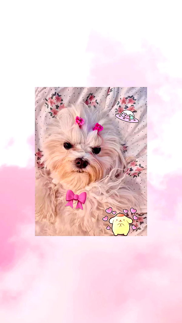 yuli.barell archive video preview