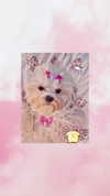 yuli.barell Altpins Profile Picture