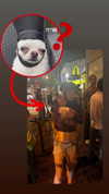carmaxlla Altpins Profile Picture