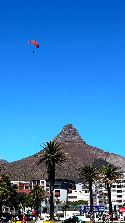 taylor.creeden taylor.creeden archive video