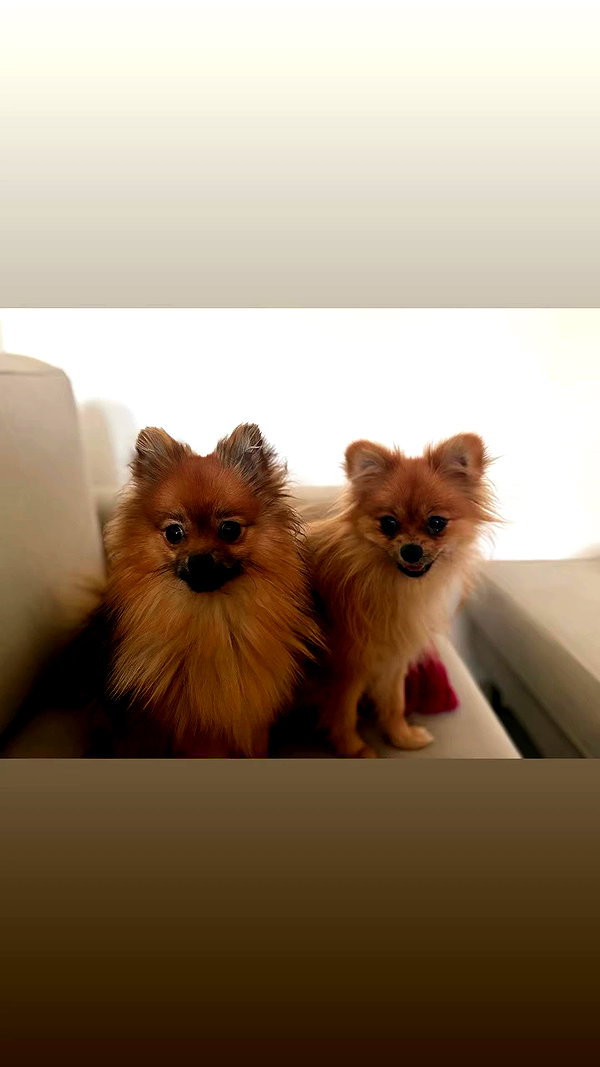 babynympho_archive archive video preview