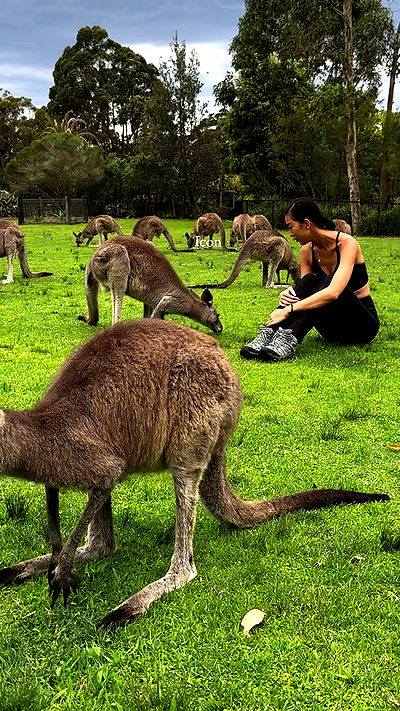 taylor.creeden taylor.creeden archive video