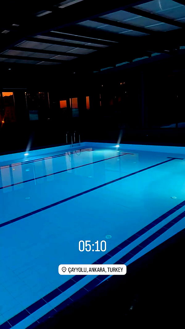 serenaycindy archive video preview