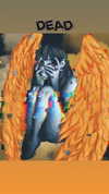 _ann.kim_ Altpins Profile Picture