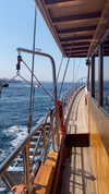 martinagiiuliani Altpins Profile Picture