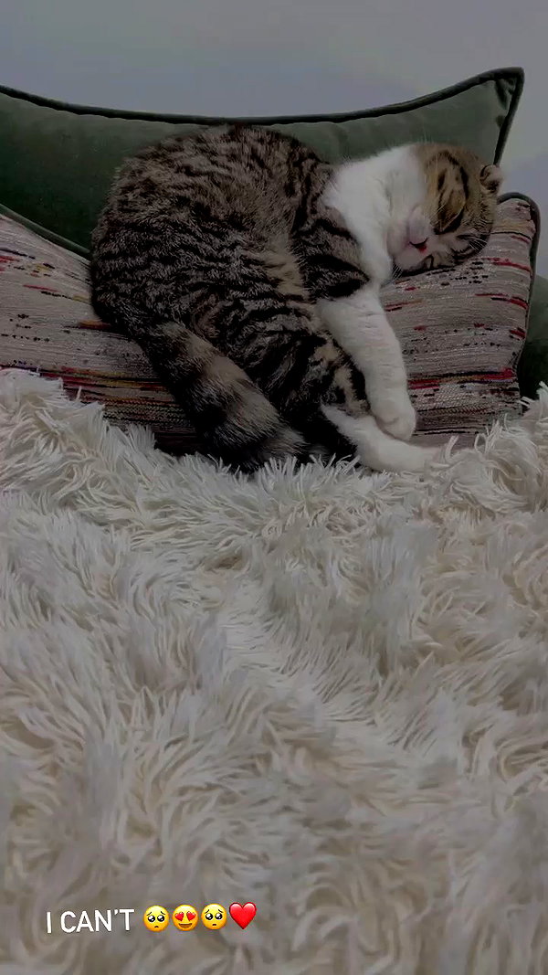 sonia_litvanchuk archive video preview