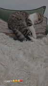 sonia_litvanchuk Altpins Profile Picture