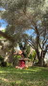 strawberryshanz Altpins Profile Picture
