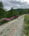 indra0102_ Altpins Profile Picture