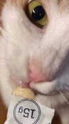 strawberryshanz Altpins Profile Picture