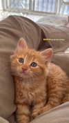 mishel_d_ Altpins Profile Picture