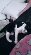 moonyyyya Altpins Profile Picture