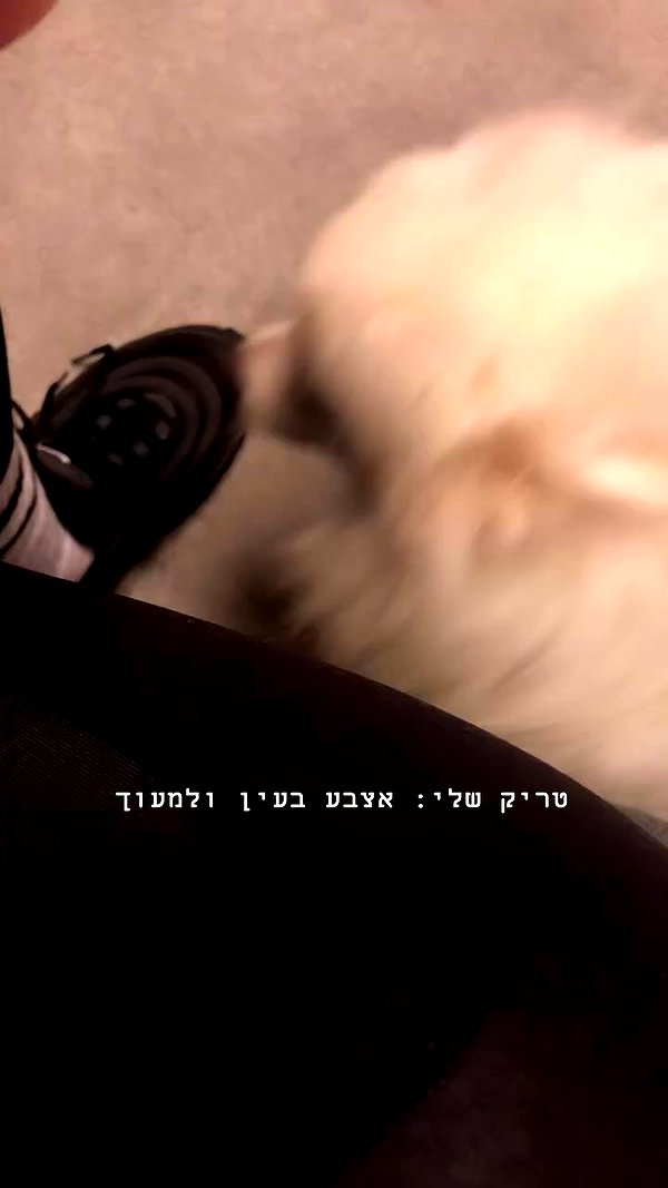 romy_ayalla_lavi archive video preview