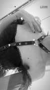 roxiechelon2 Altpins Profile Picture