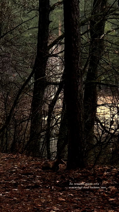 nyityam nyityam archive video