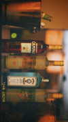 libby_reut Altpins Profile Picture