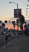 orman.mariee Altpins Profile Picture