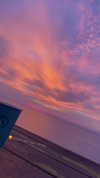 shanidahan7 Altpins Profile Picture