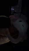mollycodlee Altpins Profile Picture