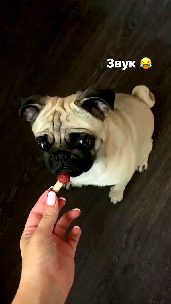 nyityam archive video preview