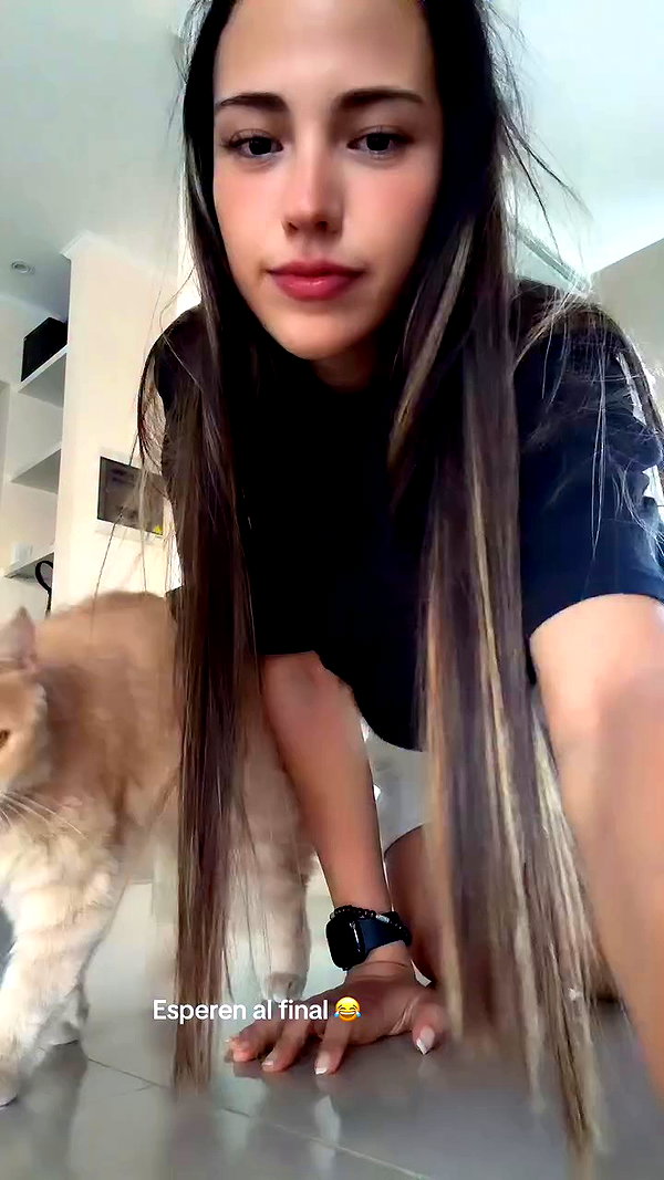 _aldibernardo archive video preview